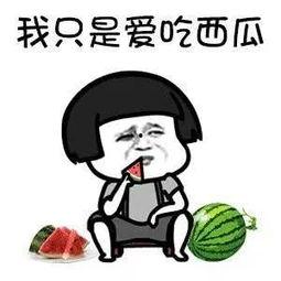 娱乐圈吃瓜漫画